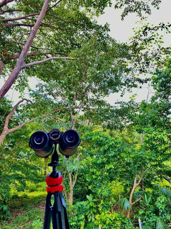 Casa De Vacaciones Ecowasi Veras Capurganá Zewnętrze zdjęcie